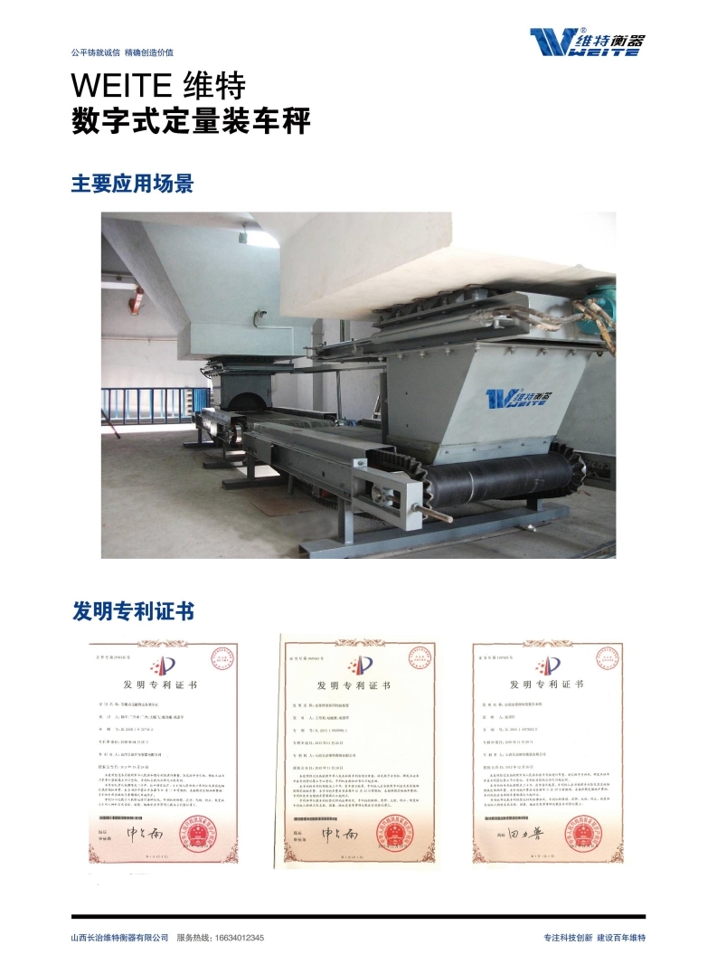 维特衡器产品手册2024-_部分11.pdf_page_1.jpg